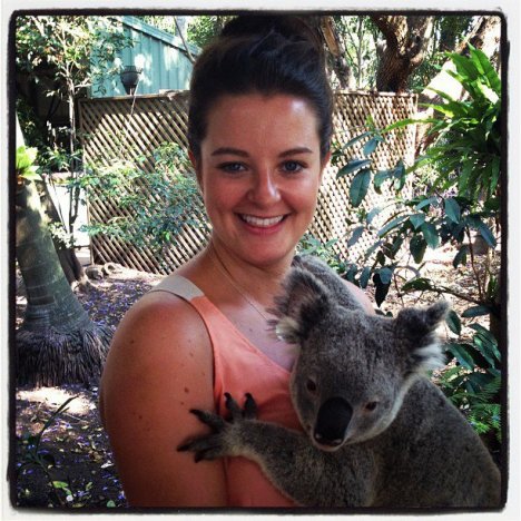 Claxton the koala